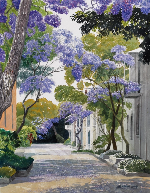 Jacaranda Alley (Sydney)